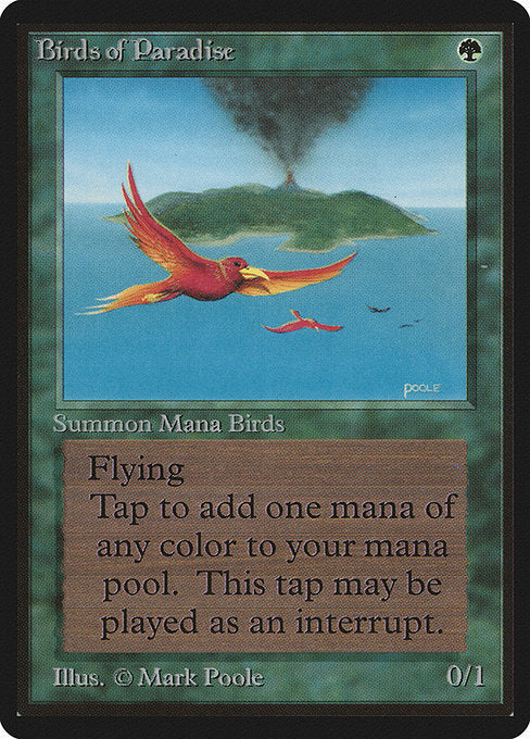 Birds of Paradise [Limited Edition Beta] | Gaming Infinity