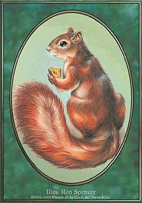 Squirrel Token [Unglued Tokens] | Gaming Infinity