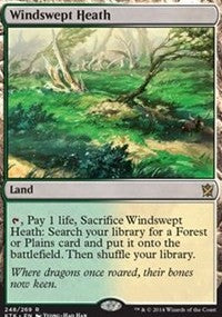 Windswept Heath [Khans of Tarkir] | Gaming Infinity