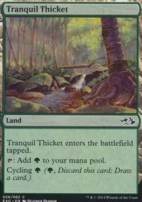 Tranquil Thicket [Duel Decks Anthology: Elves vs. Goblins] | Gaming Infinity