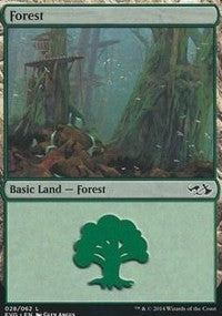 Forest (28) (Elves vs Goblins) [Duel Decks Anthology: Elves vs. Goblins] | Gaming Infinity