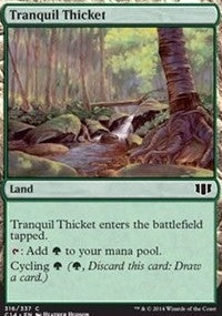 Tranquil Thicket [Commander 2014] | Gaming Infinity