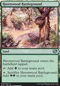 Havenwood Battleground [Commander 2014] | Gaming Infinity