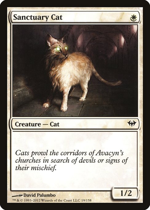 Sanctuary Cat [Dark Ascension] | Gaming Infinity