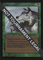 Aspect of Wolf (IE) [Intl. Collectors’ Edition] | Gaming Infinity