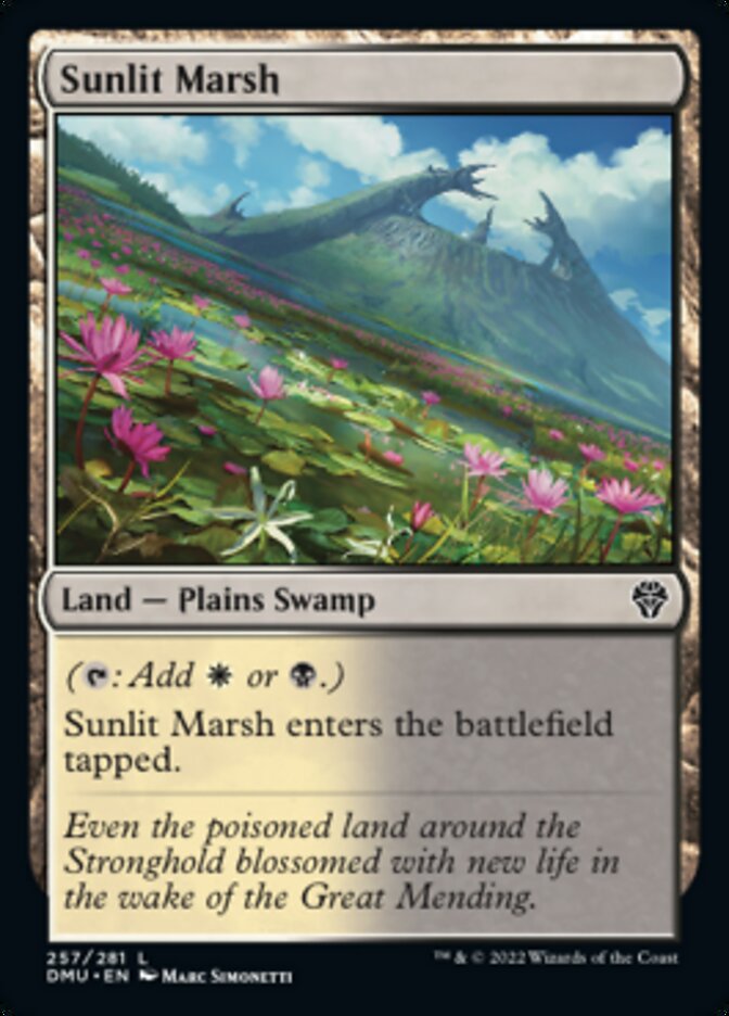 Sunlit Marsh [Dominaria United] | Gaming Infinity