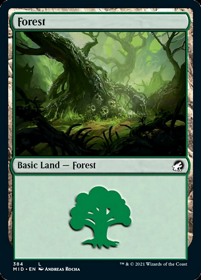 Forest (384) [Innistrad: Midnight Hunt] | Gaming Infinity