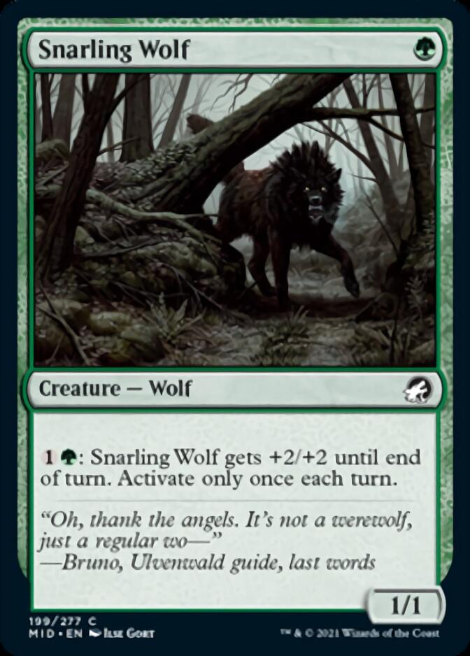 Snarling Wolf [Innistrad: Midnight Hunt] | Gaming Infinity