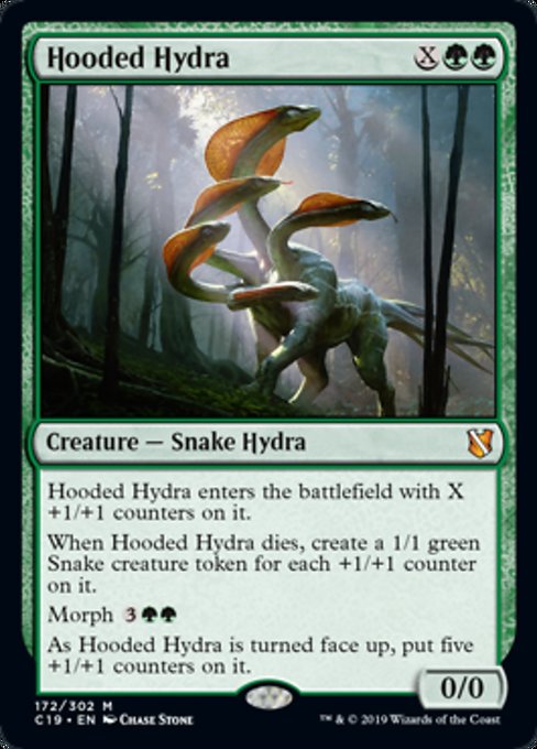 Hooded Hydra [Commander 2019] | Gaming Infinity