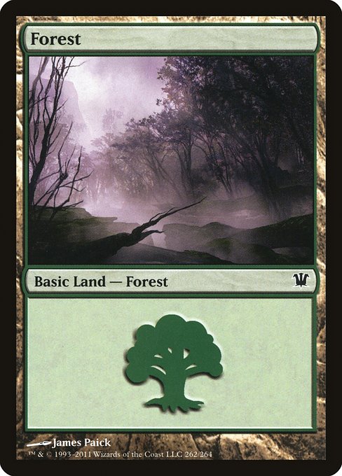 Forest (262) [Innistrad] | Gaming Infinity