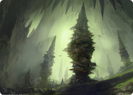 Forest (280) Art Card [Dungeons & Dragons: Adventures in the Forgotten Realms Art Series] | Gaming Infinity