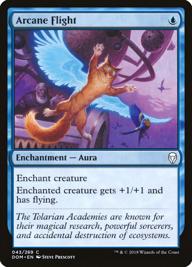 Arcane Flight [Dominaria] | Gaming Infinity