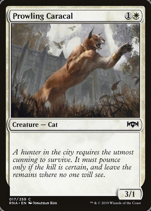 Prowling Caracal [Ravnica Allegiance] | Gaming Infinity