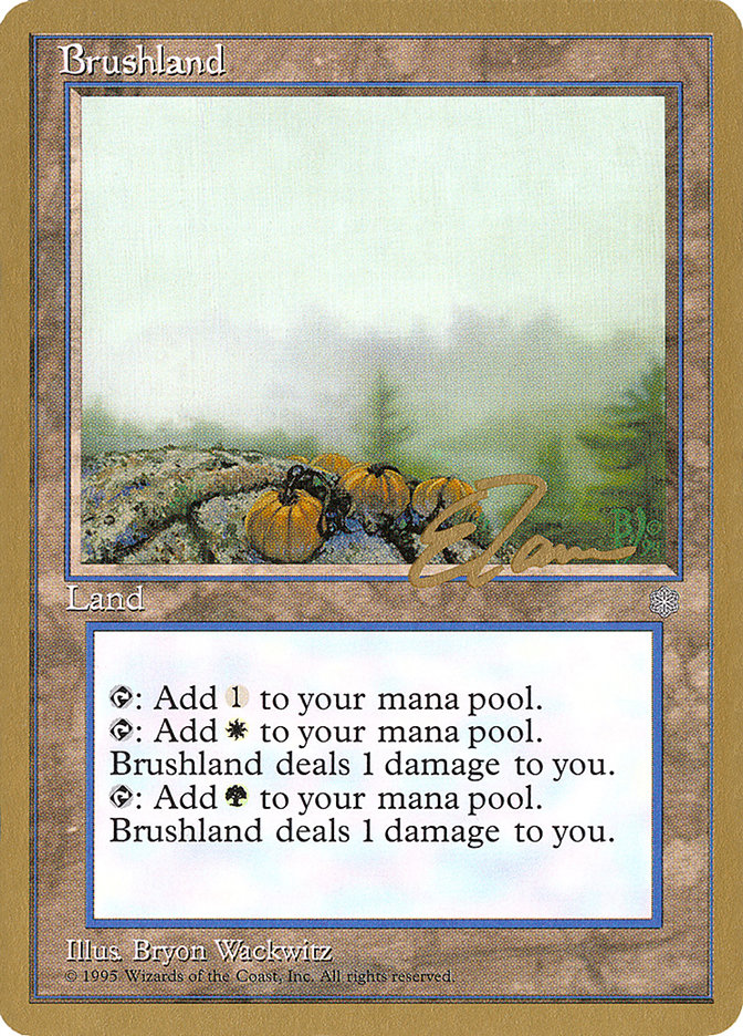 Brushland (Eric Tam) [Pro Tour Collector Set] | Gaming Infinity