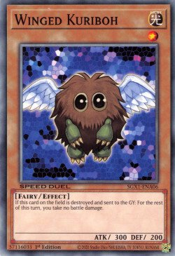 Winged Kuriboh [SGX1-ENA06] Common | Gaming Infinity