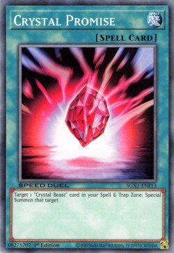 Crystal Promise [SGX1-ENF13] Common | Gaming Infinity