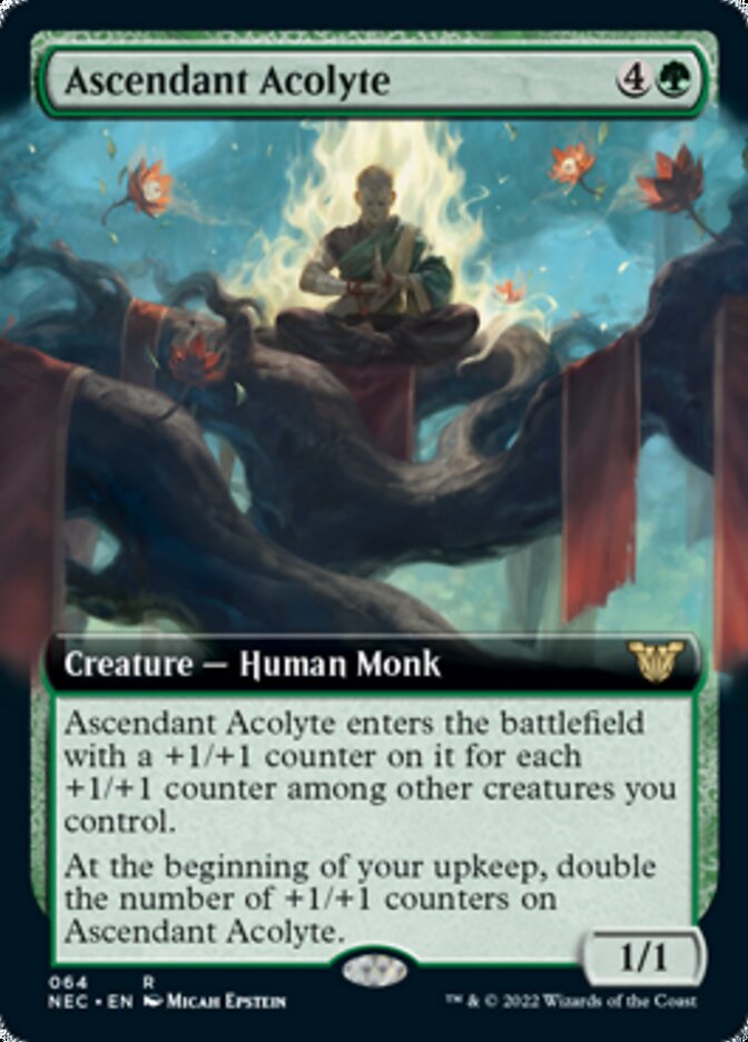 Ascendant Acolyte (Extended) [Kamigawa: Neon Dynasty Commander] | Gaming Infinity