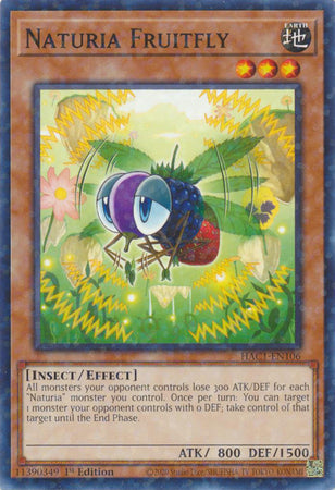 Naturia Fruitfly (Duel Terminal) [HAC1-EN106] Common | Gaming Infinity